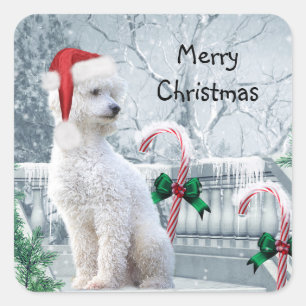 Sticker Carré Noël aux canicules blanches