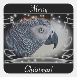 Sticker Carré Noël gris d'Afrique
