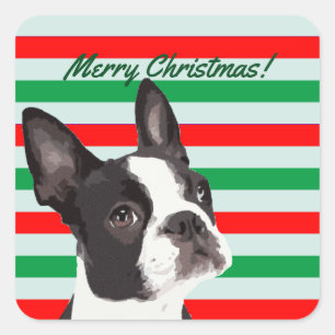 Sticker Carré Noël Joyeux à Boston Terrier