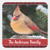 Sticker Carré Noël rustique Cardinal du Nord Nature Plaid (Devant)