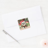 Sticker Carré Noël - Shih Tzu - truc (Enveloppe)