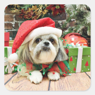 Sticker Carré Noël - Shih Tzu - truc