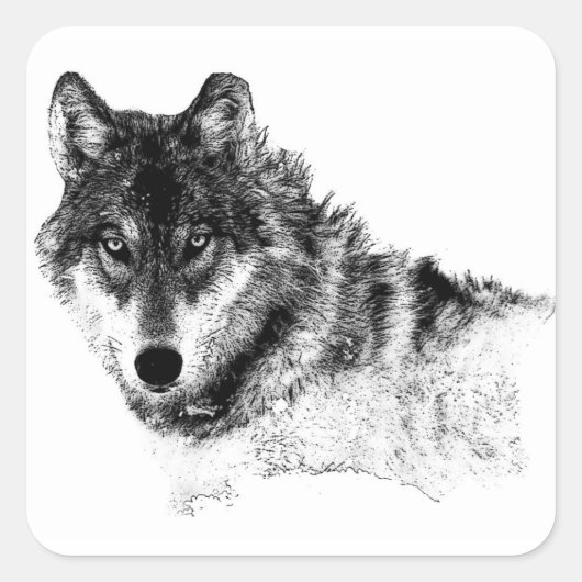 Sticker Carré Noir Blanc Inspiration Wolf Eyes (Devant)
