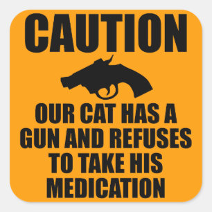 Sticker Carré Notre chat a un pistolet