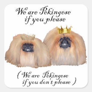 Sticker Carré Nous sommes Pekingese