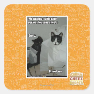 Sticker Carré Nous voulons juste makin sur