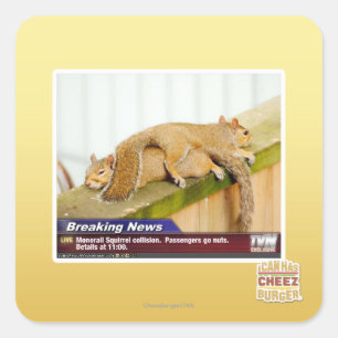 Sticker Carré Nouvelles de rupture