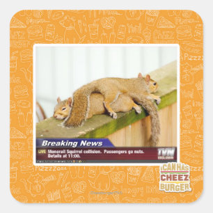 Sticker Carré Nouvelles de rupture