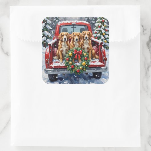 Sticker Carré Nova Scotia Duck Tolling Retriever Christmas Red (Sac)