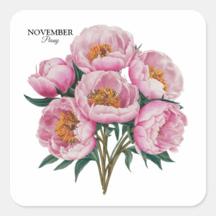 Sticker Carré Novembre Peony Bloom - Cadeau d'anniversaire perso
