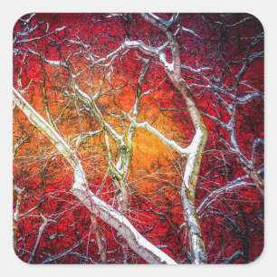 Sticker Carré Nuit d'hiver rouge