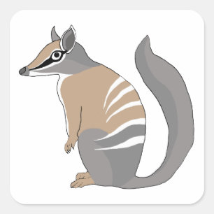 Sticker Carré Numbat