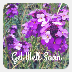 Sticker Carré Obtenez Bien Bientôt Wallflower Bowles Mauve #1 St