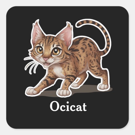 Sticker Carré Ocicat (Devant)