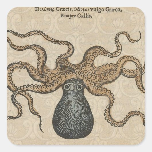 Sticker Carré Octopus Kraken Illustration Vintage (Devant)
