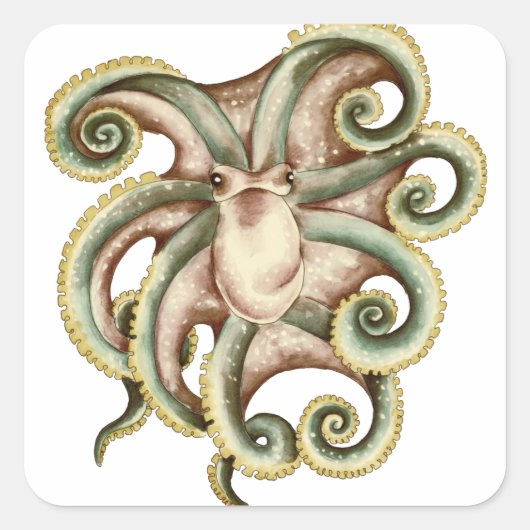 Sticker Carré Octopus vert (Devant)