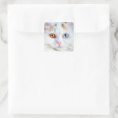 Sticker Carré Odd-Eyed White Persian Cat (Sac)