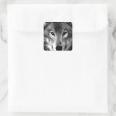Sticker Carré Oeil de loup noir et blanc (Sac)