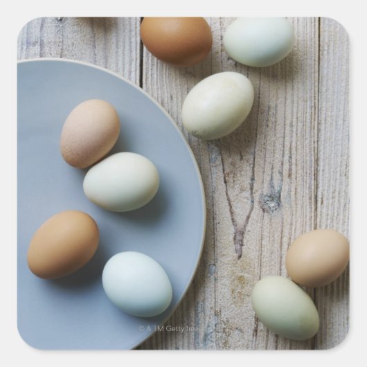 Sticker Carré Oeufs entiers (Devant)