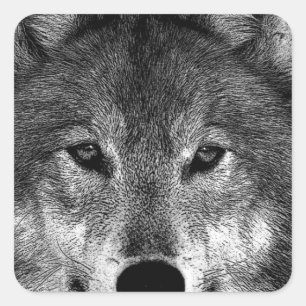Sticker Carré Oeuvre de Loup noir et blanc