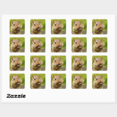 Sticker Carré Oh So Cheeky Chipmunk (Feuille)