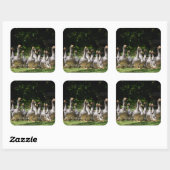 Sticker Carré Oies dans l'autocollant de Dordogne (Feuille)