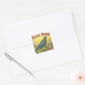 Sticker Carré Oiseau bleu (Enveloppe)