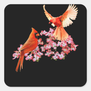 Sticker Carré Oiseau Cardinal Rouge Et Dogwood À Fleur Rose