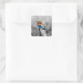 Sticker Carré Oiseau d'arc-en-ciel (Sac)