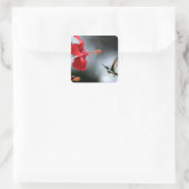 Sticker Carré Oiseau de Humming et Fleur Rouge (Sac)