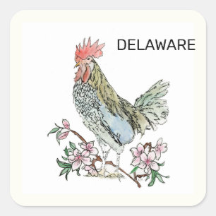 Sticker Carré Oiseau d'état du Delaware et fleur