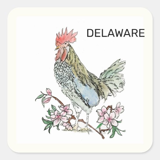 Sticker Carré Oiseau d'état du Delaware et fleur (Devant)
