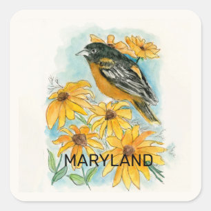 Sticker Carré Oiseau du Maryland et fleurs