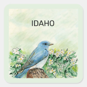 Sticker Carré Oiseau et fleur de l'État d'Idaho