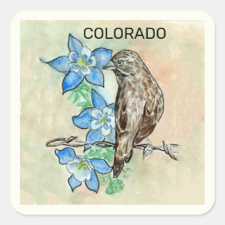 Sticker Carré Oiseau et fleur de l'état du Colorado