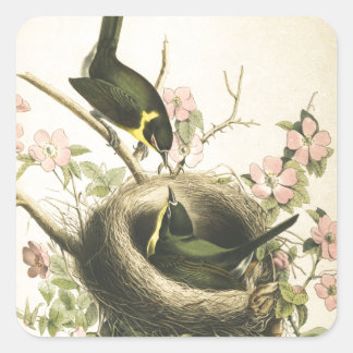 STICKER CARRÉ OISEAU ET NIVEAU DE CATCHER DE VOL