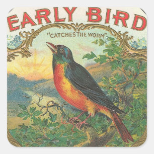 Sticker Carré Oiseau tôt