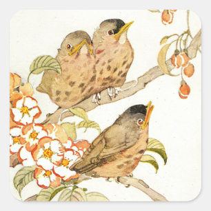 Sticker Carré Oiseaux Bébés et Fleurs de Pommier de Style Ancien