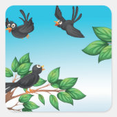 Sticker Carré Oiseaux Dans Un Arbre (Devant)
