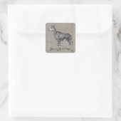 Sticker Carré Okapi vintage (Sac)