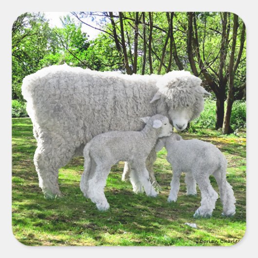 Sticker Carré "Oona & Her Twins" (Devant)