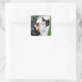 Sticker Carré Opera Phantom Chat (Sac)