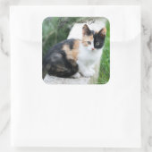 Sticker Carré Opera Phantom Chat (Sac)