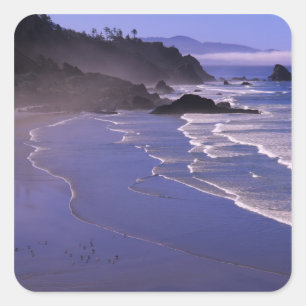 Sticker Carré OR, côte de l'Oregon, Ecola SP, Indian Beach avec