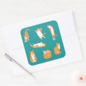 Sticker Carré Orange Cats Funny (Enveloppe)
