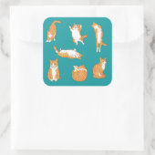 Sticker Carré Orange Cats Funny (Sac)
