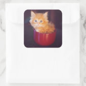 Sticker Carré Orange Kitten (Sac)