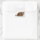 Sticker Carré Orange Tabby (Sac)