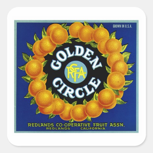 Sticker Carré Oranges du cercle d'or (Devant)