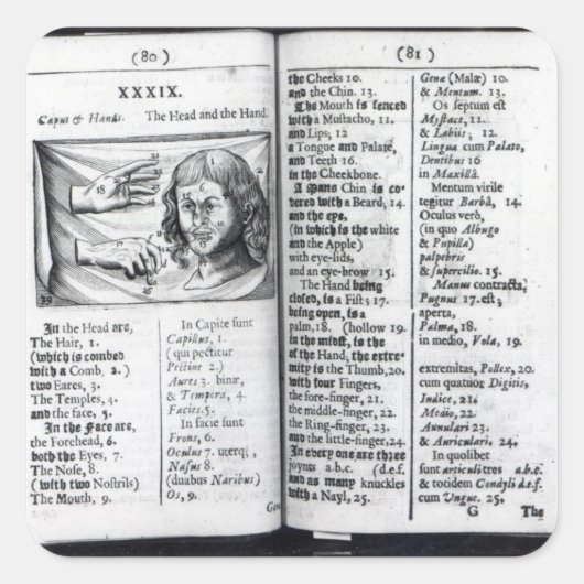 Sticker Carré 'Orbis Sensualium Pictus' (Devant)